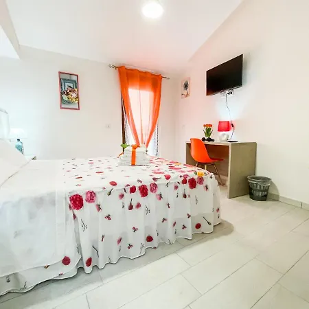 Flowers 3* Siniscola