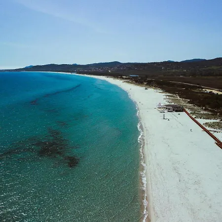 Bed & Breakfast Flowers
