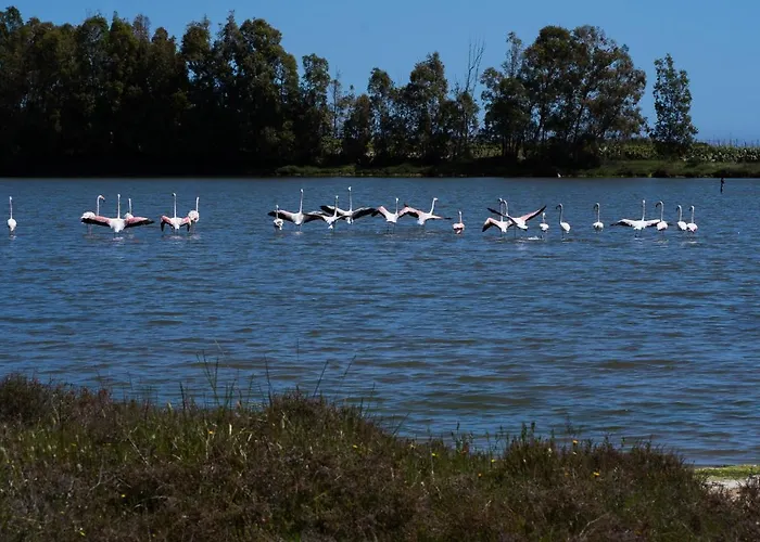 Flowers Bed and breakfast Siniscola