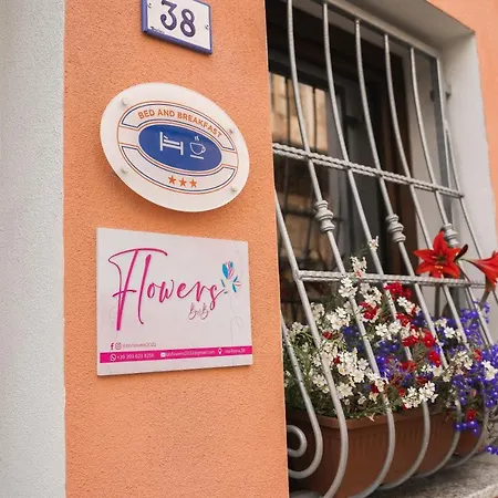 Flowers * Siniscola