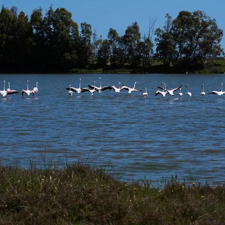 Flowers Panzió Siniscola
